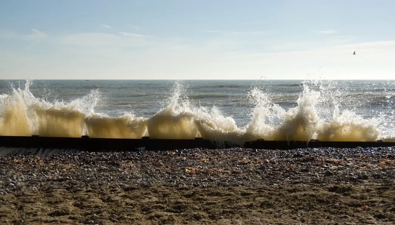 Within the Littlehampton, Rustington, Worthing and Sussex area