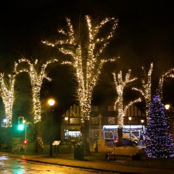 Road with lined with trees with Christmas lights