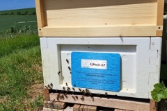 Sponsorship of Beehive at SW Honey Farms May 2023